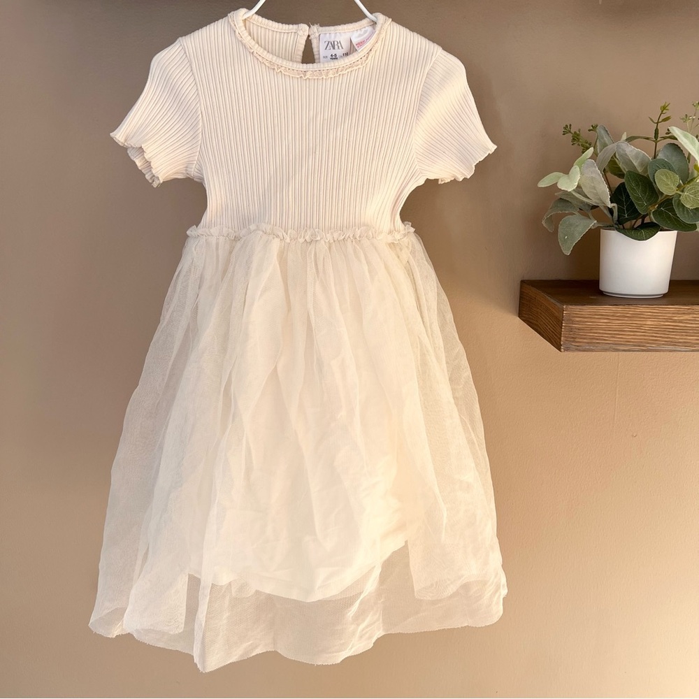 Zara dress